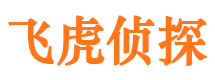 安塞侦探